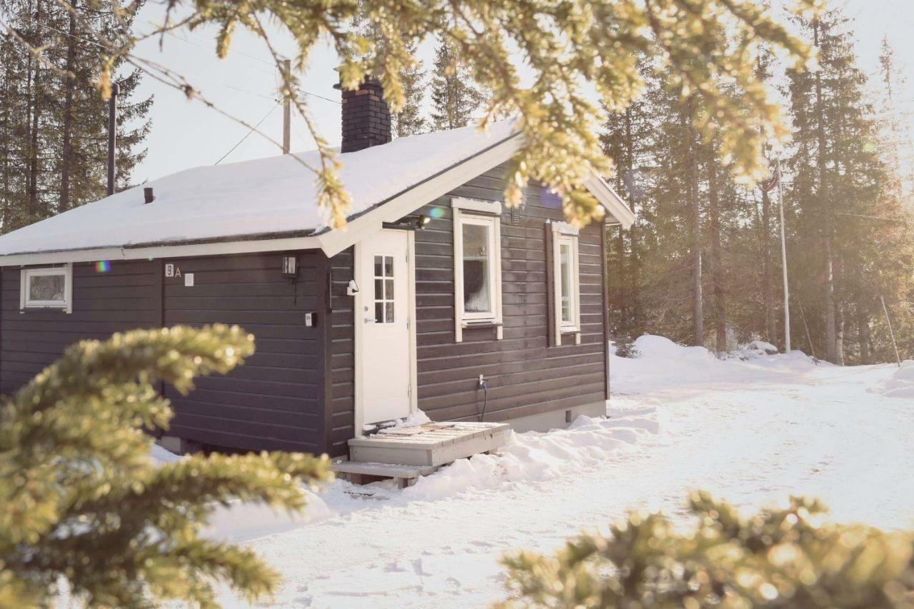 Koselig Hytte I Hemsedal Extérieur photo