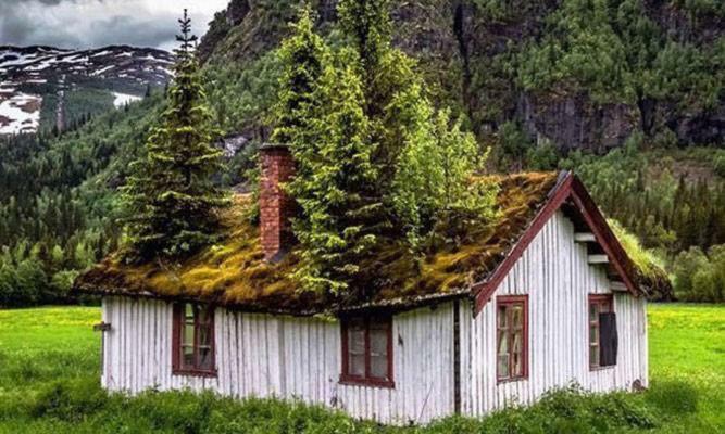 Koselig Hytte I Hemsedal Extérieur photo