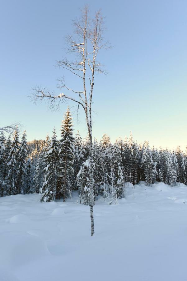 Koselig Hytte I Hemsedal Extérieur photo
